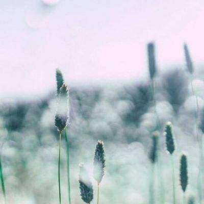 湖北房地产网截图